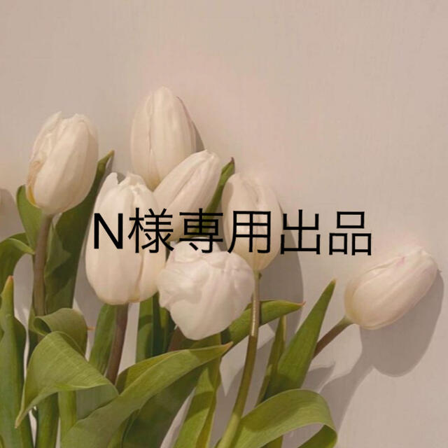 N様専用出品 - licu.org