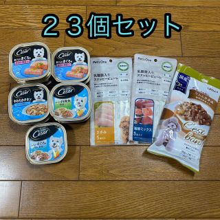 シーザー(CASAR)のこん様　新品未開封　シーザー　犬用　ご飯　ちゅーる　ペットフード　23個(ペットフード)