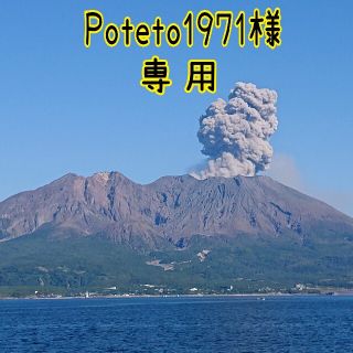 ⭐Poteto様専用⭐　尻手ロープ　短ロープ　オーダー(その他)