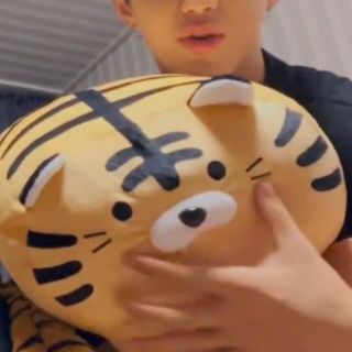 セブンティーン ぬいぐるみの通販 15点 Seventeenのエンタメ ホビーを買うならラクマ