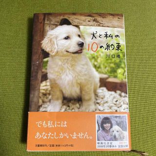 犬と私の１０の約束(その他)