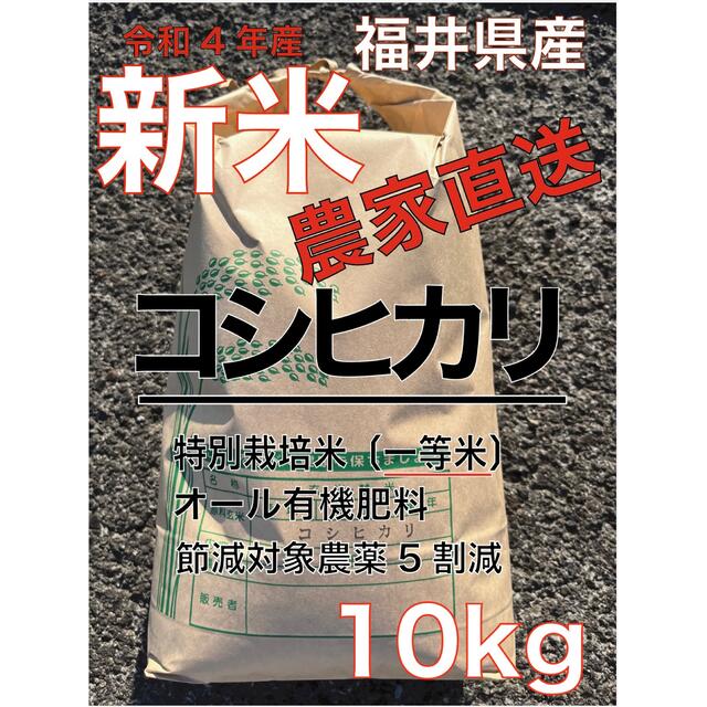 令和4年新米　10キロ　米/穀物　白米　送料無料　コシヒカリ　福井県産