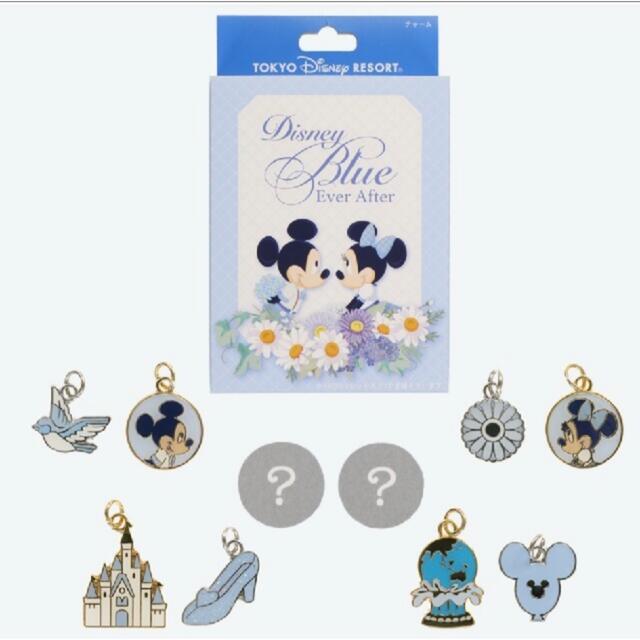 Disney(ディズニー)のブルーエバーアフター　チャーム（単品売り可） レディースのアクセサリー(チャーム)の商品写真