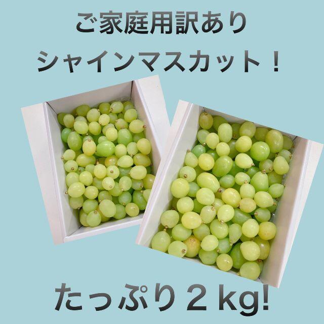 191バラ・２ｋｇご家庭用訳ありシャインマスカット！ 食品/飲料/酒の食品(フルーツ)の商品写真