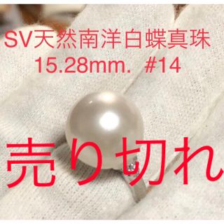 SV天然南洋白蝶真珠リング　15.28mm  #14(リング(指輪))