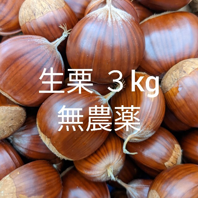 生栗 3kg 無農薬 北海道産