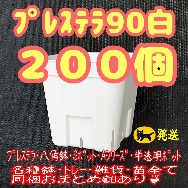 プランター【スリット鉢】プレステラ90白200個 多肉植物 プラ鉢