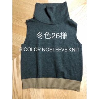 アメリヴィンテージ(Ameri VINTAGE)の冬色26様専用●BICOLOR NOSLEEVE KNIT(ニット/セーター)