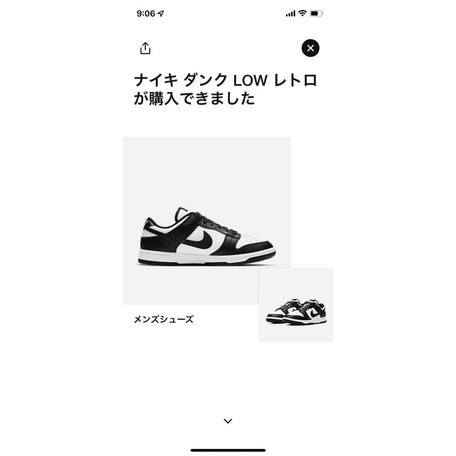 Nike Dunk Low Retro White/Black "Panda"