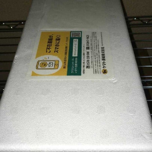 森伊蔵 1800ml 9月配送分 - www.husnususlu.com