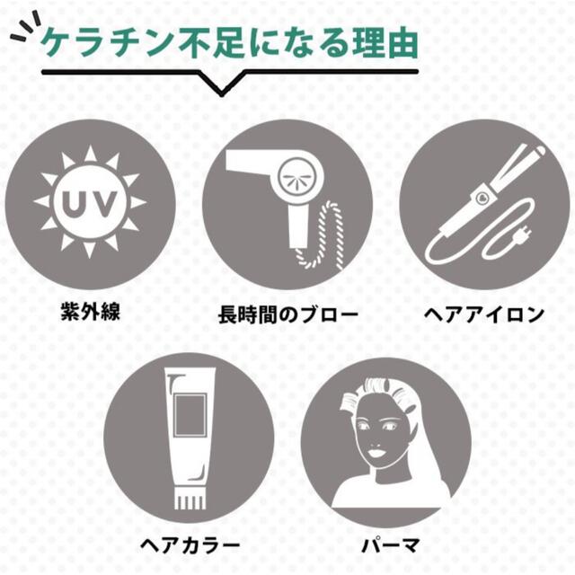 トリートメントの素 100mL ×2個 コスメ/美容のヘアケア/スタイリング(トリートメント)の商品写真