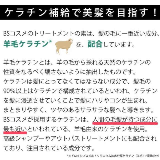 トリートメントの素 100mL ×2個 コスメ/美容のヘアケア/スタイリング(トリートメント)の商品写真