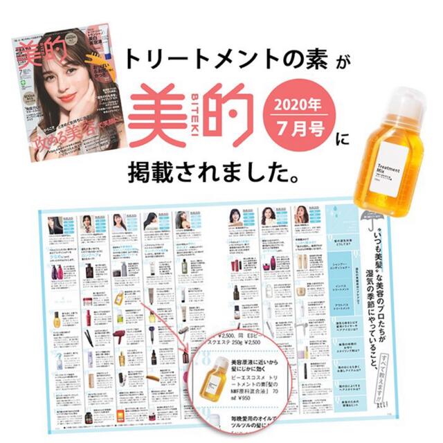 トリートメントの素 100mL ×2個 コスメ/美容のヘアケア/スタイリング(トリートメント)の商品写真