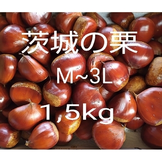 茨城の栗　サイズ混合M~3L　無農薬、無化成肥料栽培　常温発送　送料込(フルーツ)