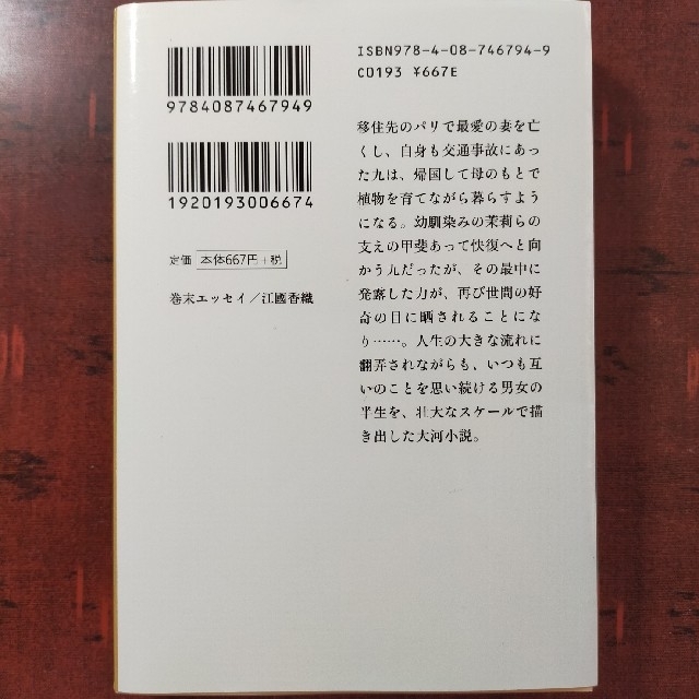 右岸(文庫本) 上・下2巻セット 辻仁成 エンタメ/ホビーの本(文学/小説)の商品写真