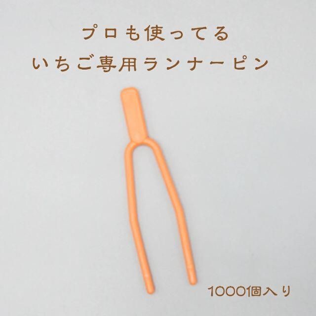 いちごランナーピン1000個入り　はじめて苗から子株を育てる方必需品