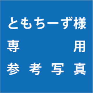 ともちーず様専用　ホワイトファイヤー台湾株(プランター)