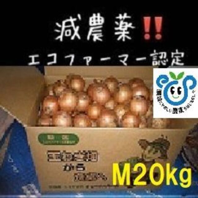 20kg　玉ねぎ　北海道産　Mサイズ