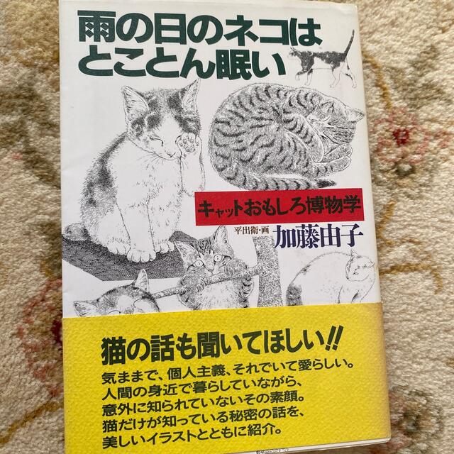 雨の日のネコはとことん眠い エンタメ/ホビーの本(趣味/スポーツ/実用)の商品写真