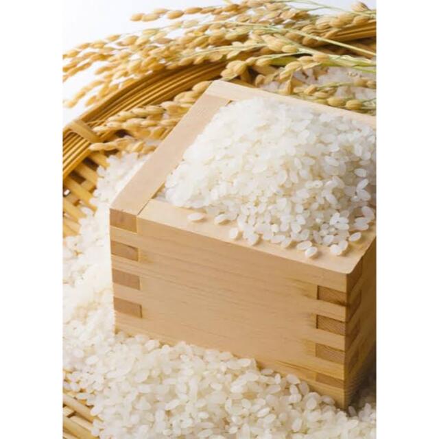 玄米特価！産地直送！滋賀県産コシヒカリ20キロ - 米/穀物