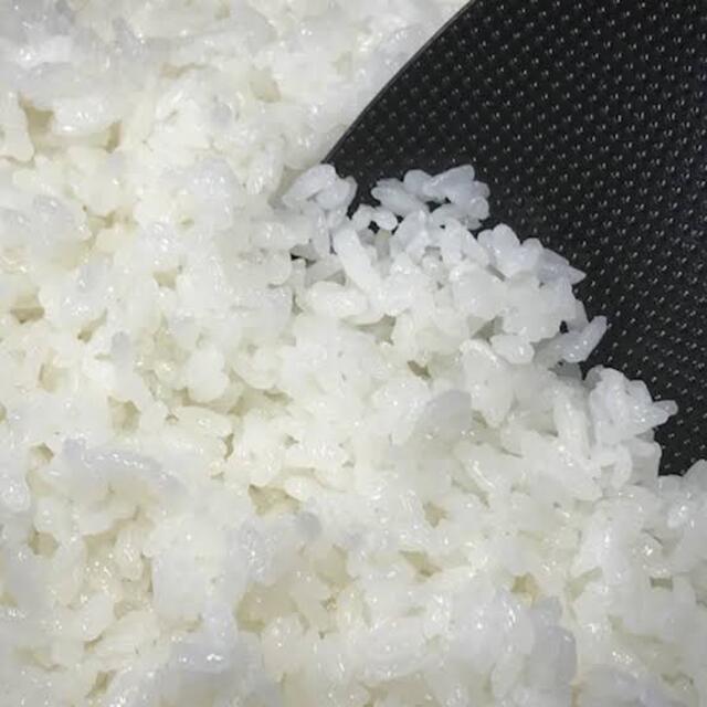 玄米特価！！産地直送！滋賀県産キヌヒカリ20キロ　米/穀物