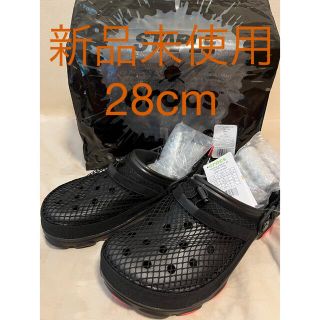 クロックス(crocs)のステープル ホーミング ピジョン × クロックス (サンダル)