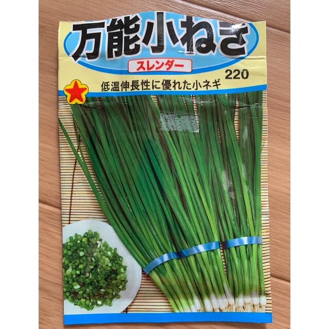 野菜 種 家庭菜園用 ほうれん草、万能小ネギ、有機ラディッシュ 200粒 食品/飲料/酒の食品(野菜)の商品写真