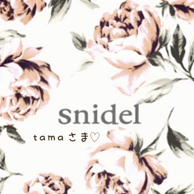 SNIDEL(スナイデル)のsnidel ワンピース レディースのワンピース(ミニワンピース)の商品写真