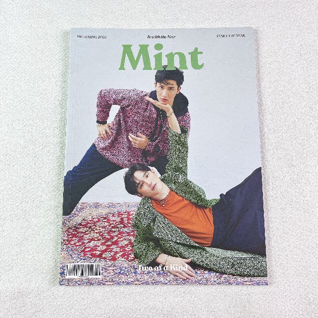 Mint （Pre-Spring 2022）TayNew エンタメ/ホビーの雑誌(ファッション)の商品写真