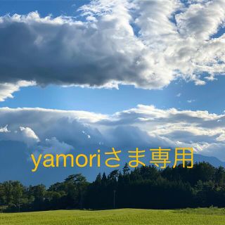 yamoriさま専用★(その他)