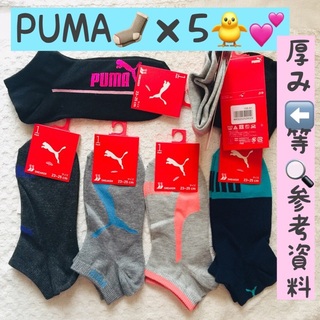 プーマ(PUMA)の残1★限定特割★【9/28〜SALE】PUMA プーマ ソックス ×5(ソックス)