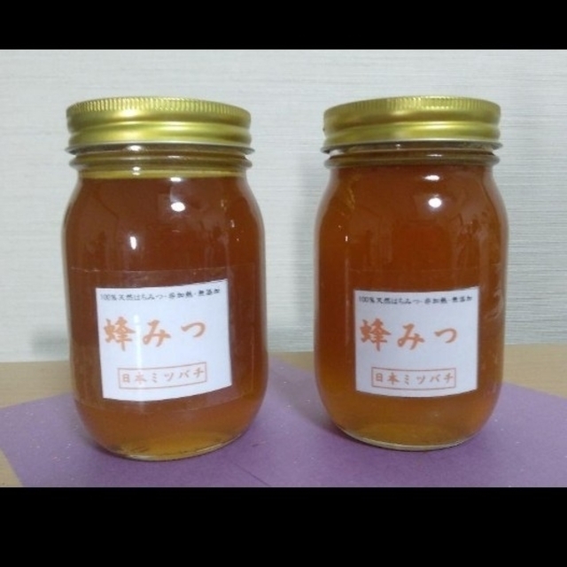 日本ミツバチの蜂蜜  570×2本 食品/飲料/酒の食品(その他)の商品写真