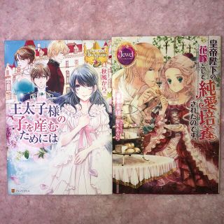 皇帝陛下の花嫁として純愛培養されたのです / 王太子様の子を産むためには(文学/小説)