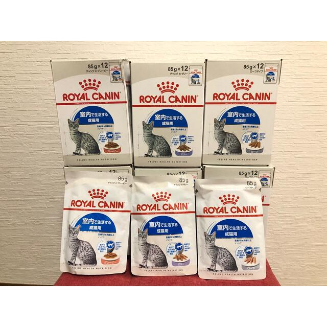エッセンシャルズ ロイヤルカナン パウチ 猫 85g✖️12 6セット おまけ