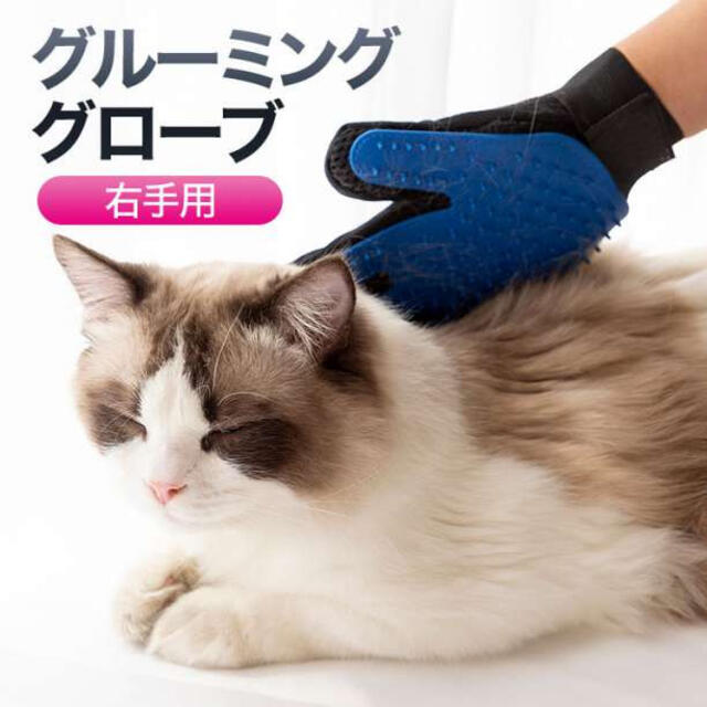 グルーミンググローブ ブルー 右手 抜け毛取り ラバーブラシ 犬 猫 ペット その他のペット用品(猫)の商品写真