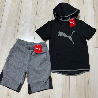 プーマ(PUMA)のプーマ　スウェット　半袖パーカー　ハーフパンツ　上下　110-120（116）㎝(その他)