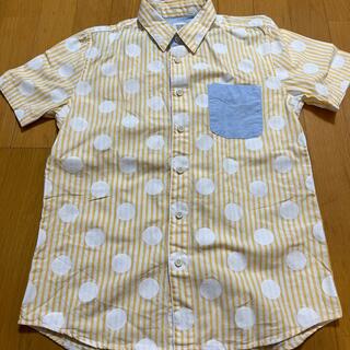 グラニフ(Design Tshirts Store graniph)のグラニフ水玉シャツ(シャツ/ブラウス(半袖/袖なし))
