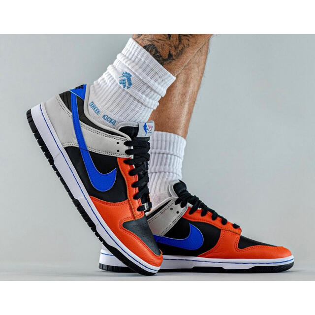 NIKE DUNK LOW PETRO