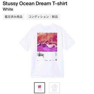 STUSSY - stussy ocean dream tee 21ss ステューシー Tシャツ