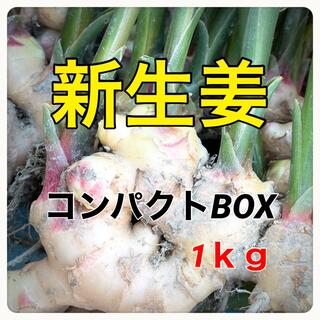 掘り立て新鮮‼️新生姜！コンパクトBOXでお届けします！(野菜)