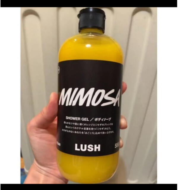 LUSH まごころ