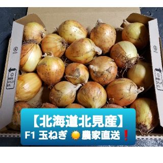 北海道 北見産 ミニ 新玉ねぎ ◎農家直送(野菜)