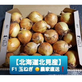 北海道 北見産 ミニ 新玉ねぎ ◎農家直送(野菜)