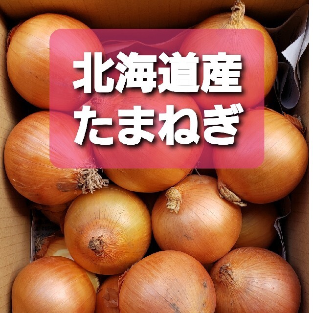 ◆北海道産 玉ねぎ Lサイズ 約10キロ 食品/飲料/酒の食品(野菜)の商品写真