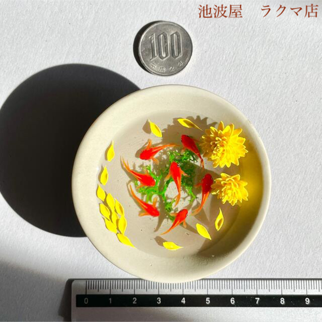 【展示品】盃で泳ぐ和金　菊　　ミニチュア　インテリア雑貨 ハンドメイドのインテリア/家具(インテリア雑貨)の商品写真