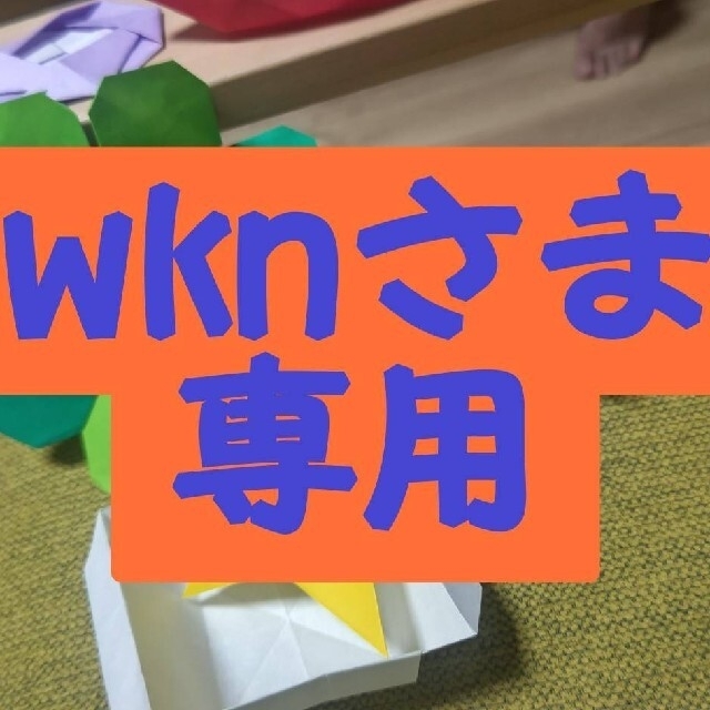 携帯用ゲーム機本体【wknさま専用】