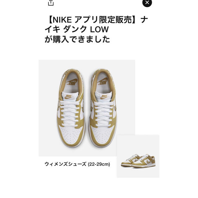 NIKE(ナイキ)のNikeDunk Low ESS "Barley Paisley" 26.5 メンズの靴/シューズ(スニーカー)の商品写真