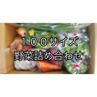【野菜好きの方に！】100サイズ　野菜詰め合わせ　野菜ボックス　茨城県産(野菜)