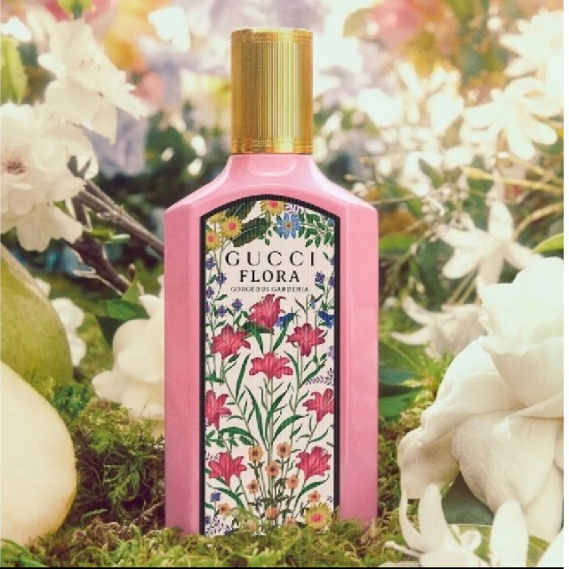 在庫一掃最安挑戦 ホリデー GUCCI GUCC (グッチ)グッチ セット