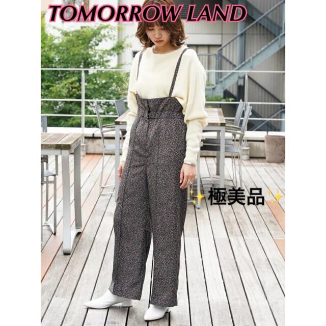 TOMORROWLAND(トゥモローランド)の✨極美品✨トゥモローランド ショルダーストラップパンツ サロペット 32 レディースのパンツ(サロペット/オーバーオール)の商品写真